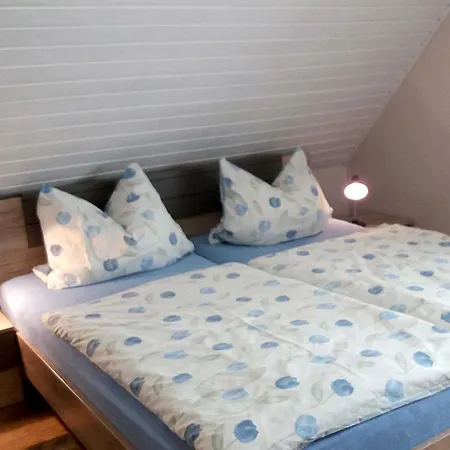 Conerus * Carolinensiel