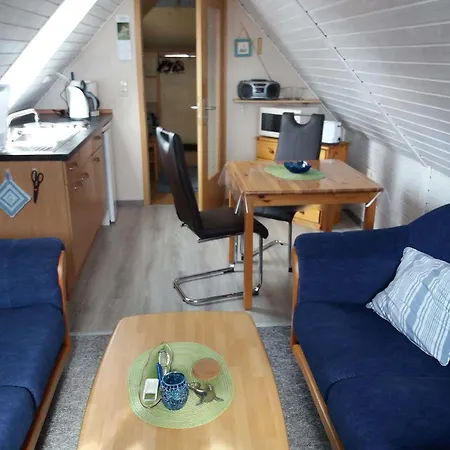 Conerus Carolinensiel