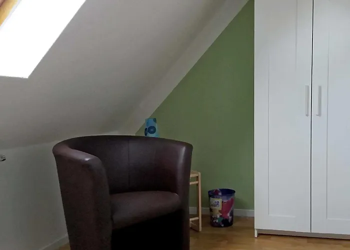 Conerus * 카롤리넨시엘