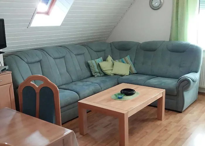 Conerus 카롤리넨시엘