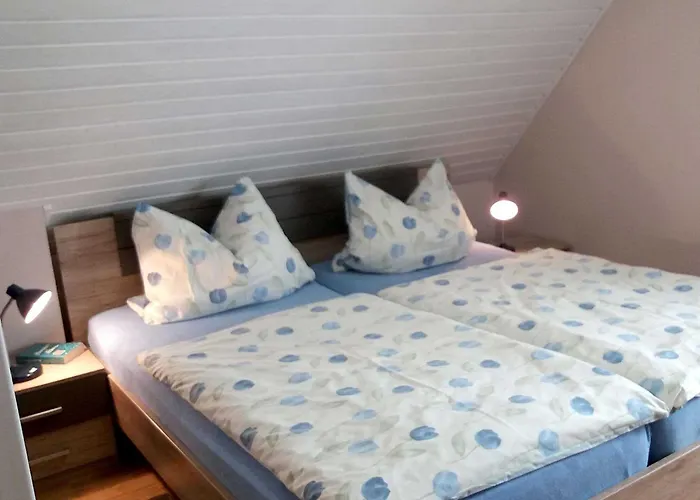 Conerus * 카롤리넨시엘