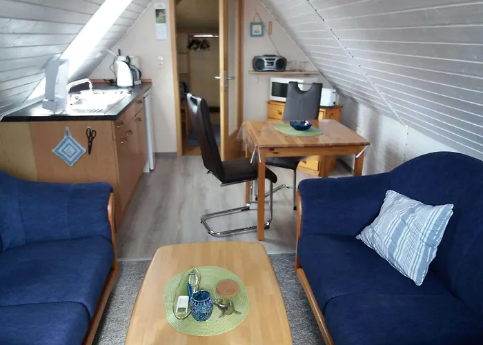 Conerus 카롤리넨시엘